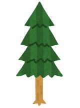 �������C�l�����ʐ^