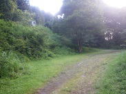 �Q�X�g���[��